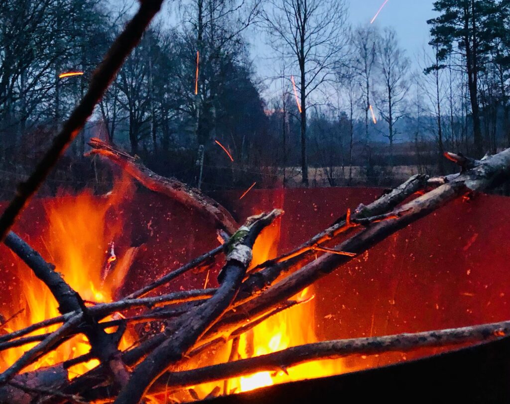 biokol brasa hållbarhet göra hemma