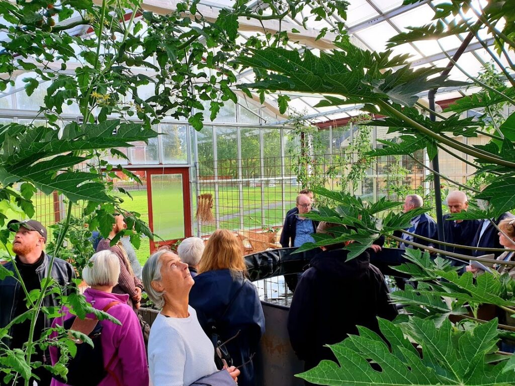 learning education study visit travel greenhouse sustainable